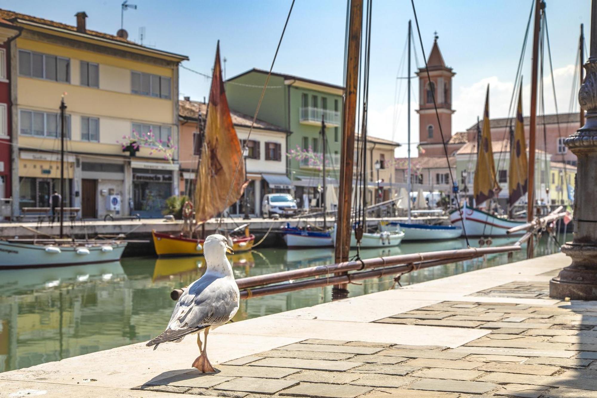 Hotel Wega Bellaria-Igea Marina Luaran gambar